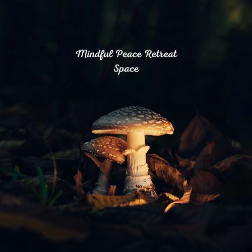 Mindful Peace Retreat Space_poster_image