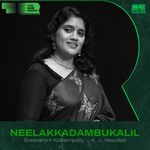 Neelakkadambukalil