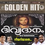 Neeyariyathe (Divyadanam)