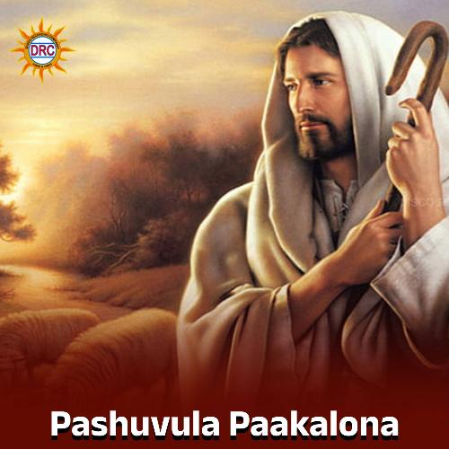 Pashuvula Paakalona