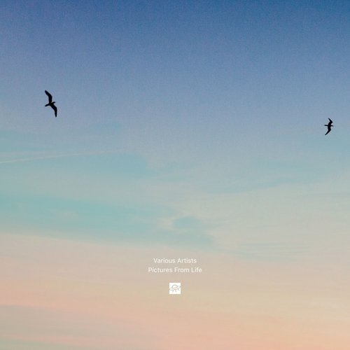 Morning Fog (Skytechnic Remix) cover art