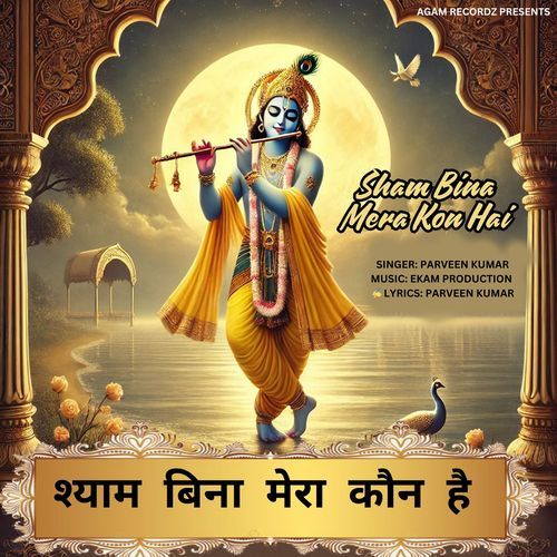Sham Bina Mera Kon Hai