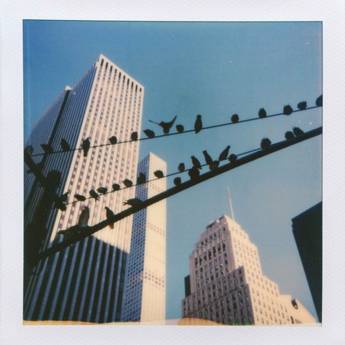 Spring Loop cover art