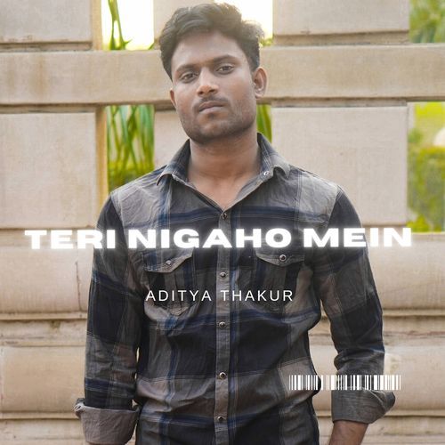 Teri Nigaho Mein