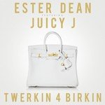 Twerkin 4 Birkin
