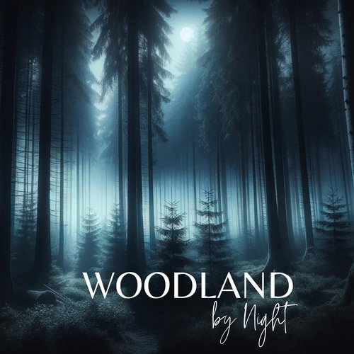 Woodland by Night: Secret Melodies of Dark Forest (Sleep, Relaxation, Hypnosis)_poster_image