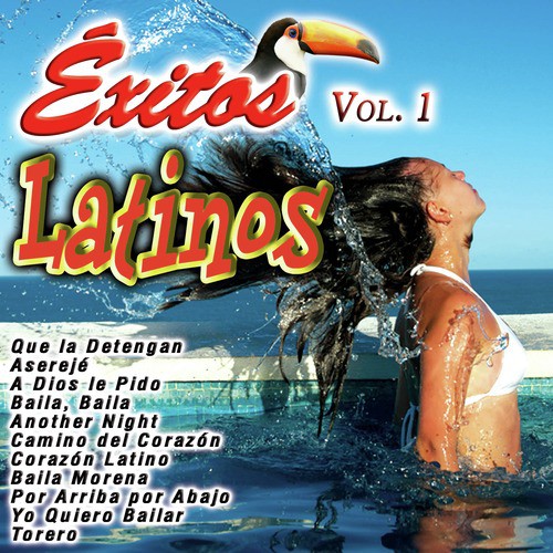 Éxitos Latinos Vol. 1