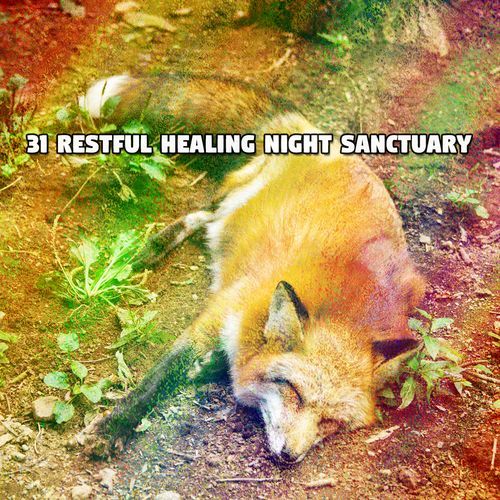 31 Restful Healing Night Sanctuary_poster_image