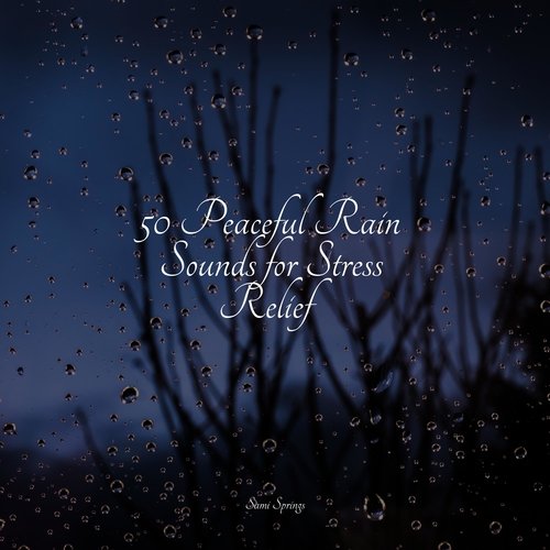 50 Peaceful Rain Sounds for Stress Relief_poster_image