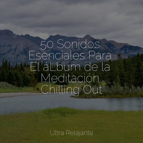 50 Sonidos Esenciales Para El áLbum de la Meditación Chilling Out_poster_image