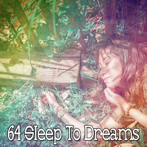 64 Sleep to Dreams