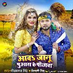 Aawa Janu Puwara Ke Pichwa