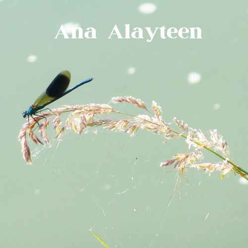 Anjooma Layat - Song Download from Ana Alayteen @ JioSaavn