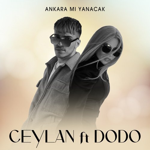 Ankara Mı Yanacak_poster_image