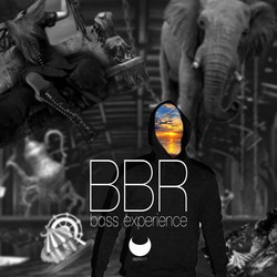  BBR