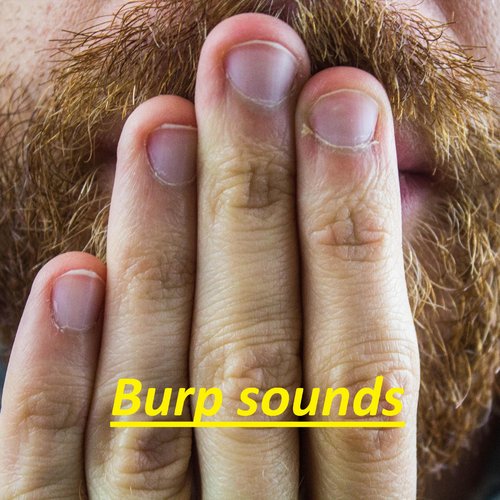 Burp sound for video