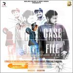 Case File