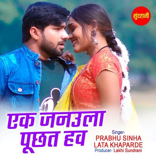 Ek Janaula Puchat Hav