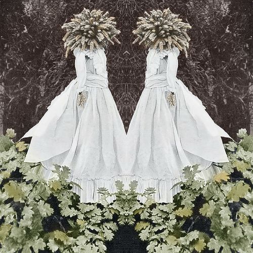 Bed Down In The Murk