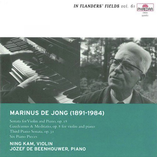 In Flanders' Fields Vol. 61: Marinus de Jong