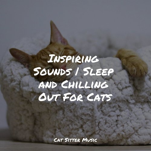 Inspiring Sounds | Sleep and Chilling Out For Cats