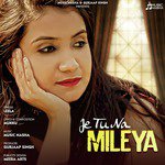 Je Tu Na Mileya - Single