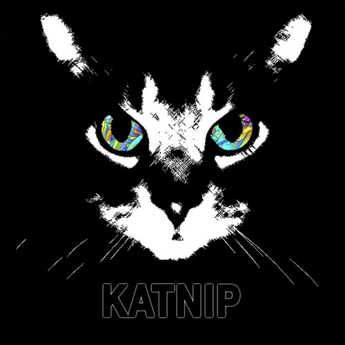 Katnip