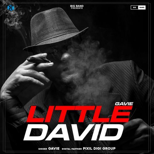 Little David
