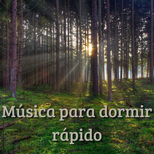 Música Para Dormir Rápido_poster_image