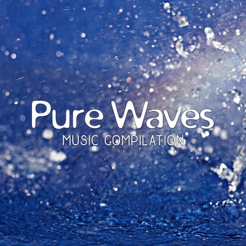 Zen Garden Download Song From Pure Waves Music Compilation Jiosaavn