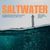 Saltwater (Richard TM Remix) (Funky House Edit)