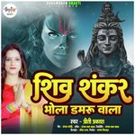 Shiv Shankar Bhola Damru Wala re