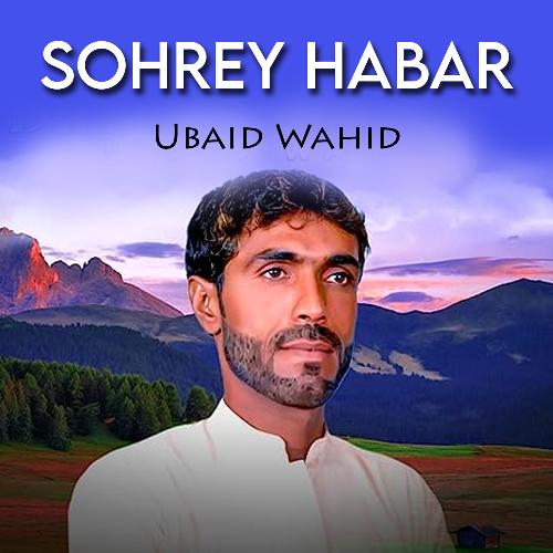 Sohrey Habar