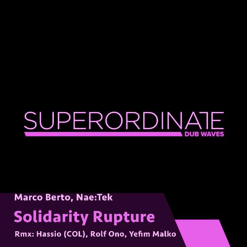 Solidarity (Yefim Malko Rmx) cover art