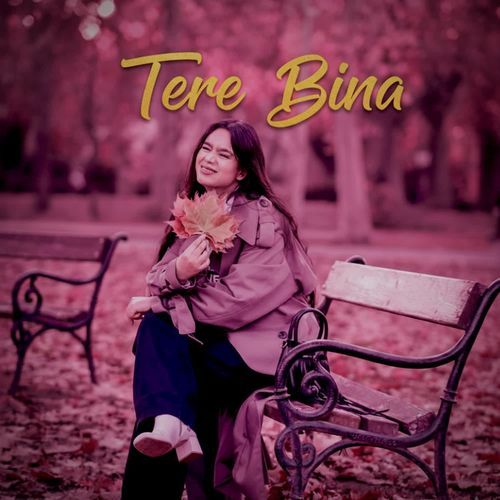 Tere Bina