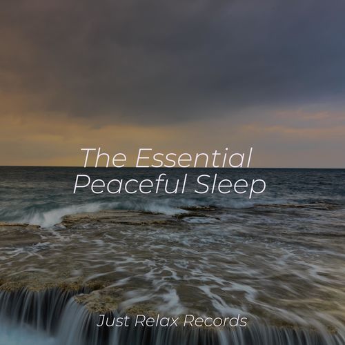 The Essential Peaceful Sleep_poster_image