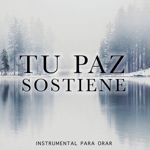Tu Paz Me Sostiene cover art