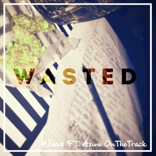 Wasted_poster_image