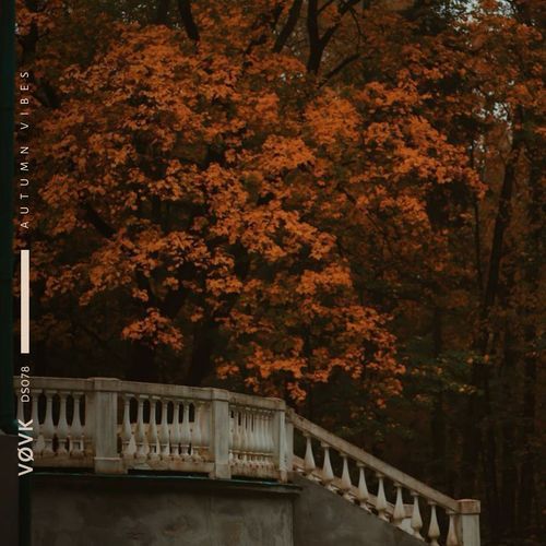 autumn vibes