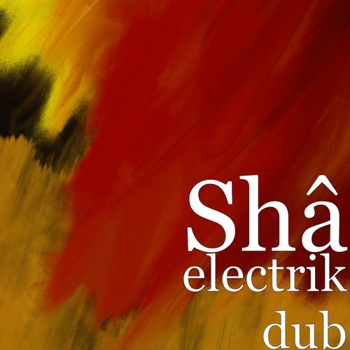 electrik dub_poster_image