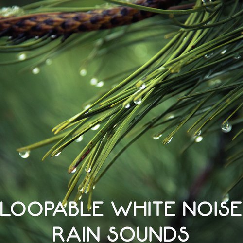 Rain to fall asleep(Loopable,No fade)