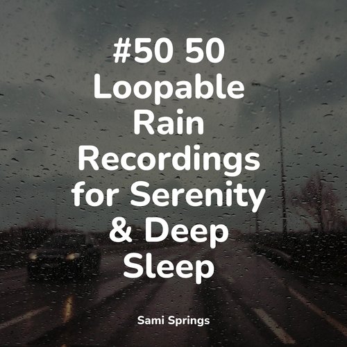 #50 50 Loopable Rain Recordings for Serenity &amp; Deep Sleep_poster_image