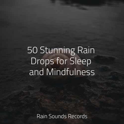 50 Stunning Rain Drops for Sleep and Mindfulness