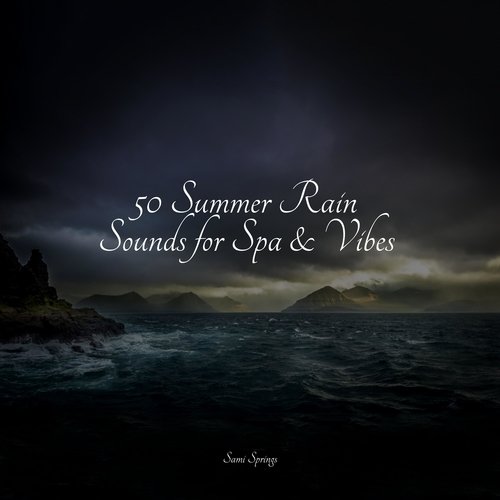 50 Summer Rain Sounds for Spa &amp; Vibes_poster_image