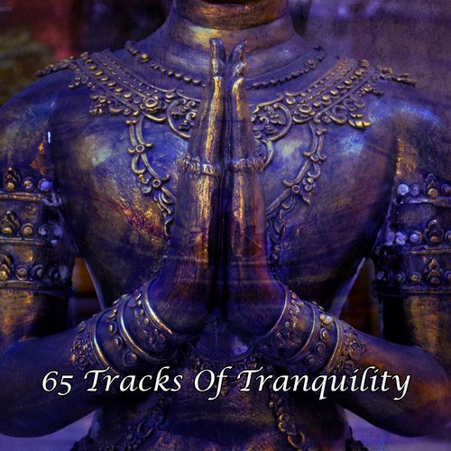65 Tracks Of Tranquility