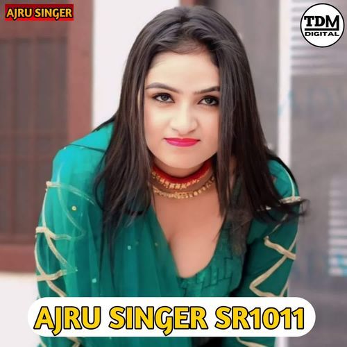 AJRU SINGER SR1011