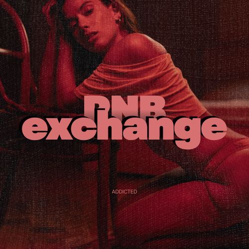The Ned cover art