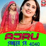 Ajru Singer SR 4040