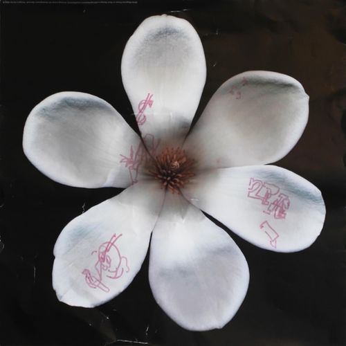 blue + pink cover art