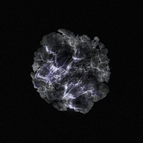 Lacuna cover art